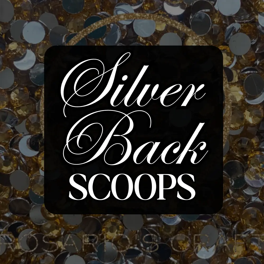 RESIN RHINESTONE SCOOPS (sb)