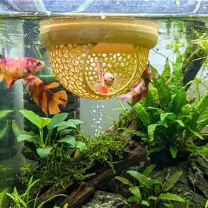 Betta Fish Hammock & Floating Feeder Ring, Safe Eco-Friendly Aquarium Hiding Cave, Enhances Aquatic Environment, Ideal for Fish Tanks