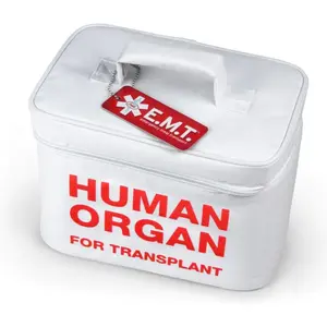Human Organ Lunchbox