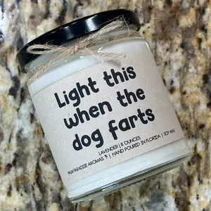 Palm Paradise Aromas Light This When The Dog Farts Hilarious Scented 8 Ounces Hand Poured in Florida Candle Gift for Pet Owners