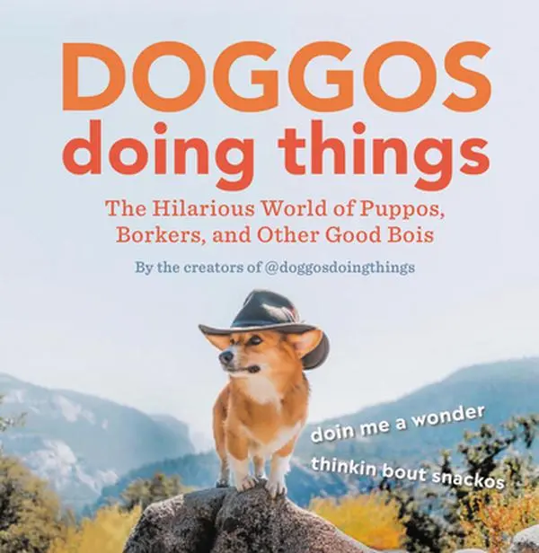 USED-Doggos Doing Things: The Hilarious World of Puppos, Borkers, and Other Good Bois by Creators of @doggosdoingthings (Hardcover)