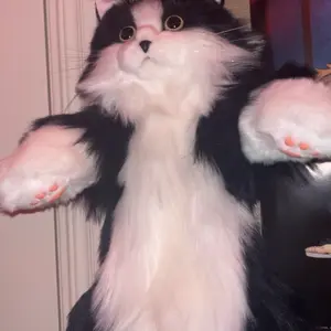 Product Review of 【TikTokShopBacktoSchool】Chongker Stylish Daypack Plush Cat Backpack - Realistic Stuffed Animal Fashion Accessory & Unique Gift for Cat Lovers - 1 Set Gift Wrap from p**s