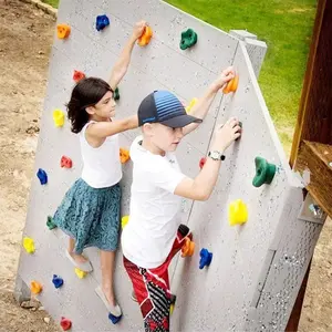 10pcs Plastic Rock Climbing Holders, DIY Wooden Climbing Wall Kit, Indoor Outdoor Playground Accessories, Kids Toy Set, Arm Strength Training