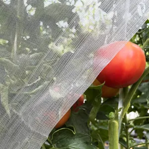 Ultra Fine Garden Netting 4'x10' Plant Pest Barrier Covers Bird Patio Mosquito Netting Tree Vegetable Mesh Protection Netting Fruit Greenhouse Row Nets for Garden