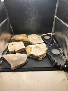 Petrified wood sphere holder! 4.2 too 5.2 inches!