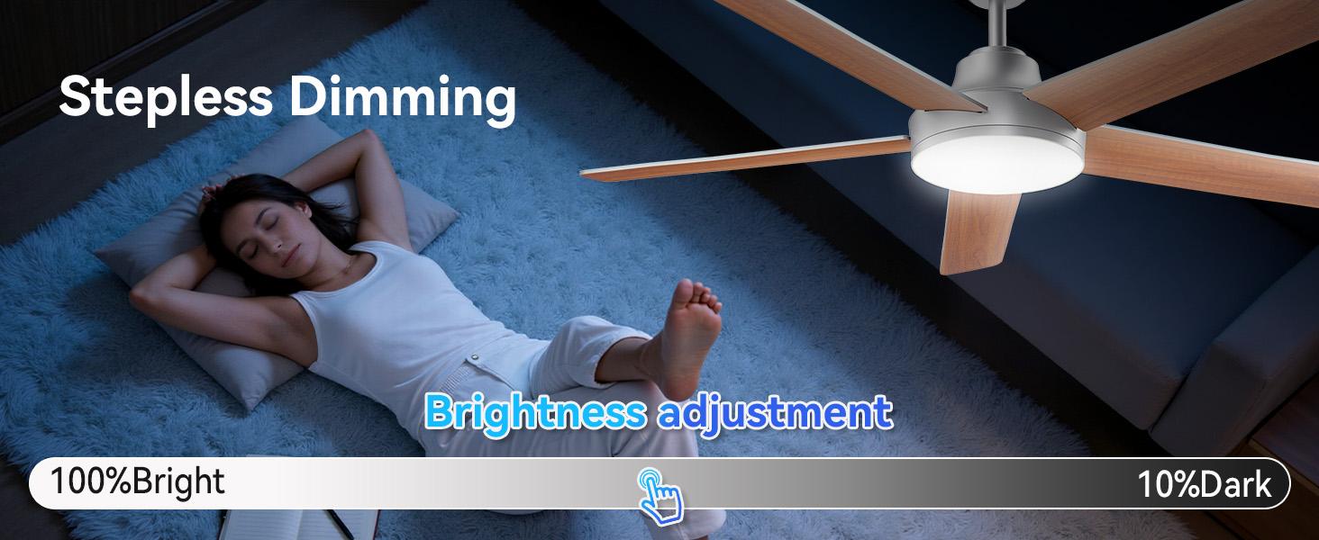 ADEWALK Ceiling Fans with Lights and Remote, Low Profile Ceiling Fan with Light, APP, 6 Speed, Dimmable, DC Motor, Quiet, Timer, Flush Mount Modern Ceiling Fan for Bedroom Living Room