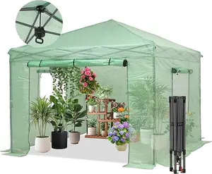 GDY Aluminum Walk-In Greenhouse with Anchor 10*10ft Indoor Outdoor Plant Gardening Green House, Roll-Up Zipper Doors and Side Windows