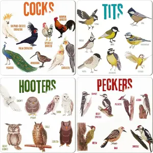 Bird Pun Coasters, Square Funny Coaster Set Coffee Coasters for Bird Lovers Kitchen Decor Housewarming Gifts (4 Pcs)