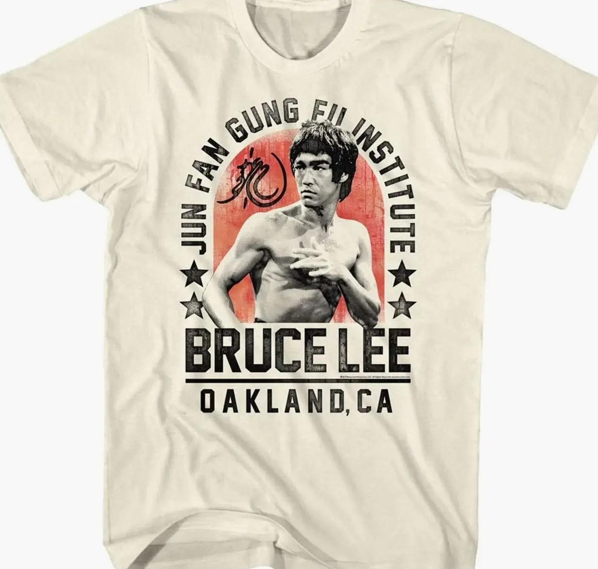 American Classics Bruce Lee Jun Fan Gung Fu T Shirt, Bruce Lee Tee, Designed and Printed in the USA, Martial Arts Graphic, Vintage Style, Unisex, Fan Gift 861