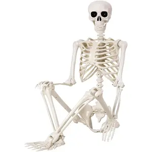 5.4FT Life Size Posable Skeleton Halloween Decoration – Realistic Full Body Plastic Skeleton Prop for Outdoor Yard, Haunted House, Graveyard, Porch & Party Decor, Scary Human Skeleton Halloween Prop, lawn decoration, skeleton statue, Halloween prop