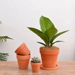 Clay Flower Pot, Breathable and Water-Soaking, Ideal for Root Health, Simple Vintage Style, Succulent Planter, Various Sizes Available