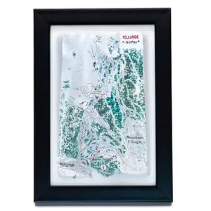 Telluride Ski Resort 3D Raised Relief Map