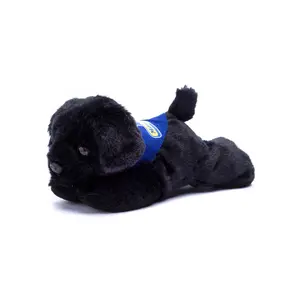 Black Lab with Mane 'n Tail Blue Bandana