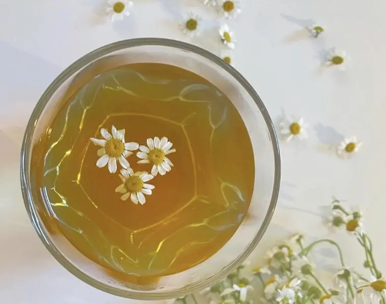 Calming Chamomile Tea -Organic Whole Flower Herbal Blend for Relaxation & Stomach Comfort- Supports Stress & Tension Relief