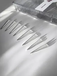Pat Glamz 2XL Stilettos (500 PCS) Clear Acrylic Nail Tips