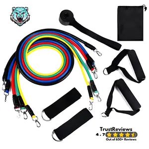 Ultimate Home Workout Resistance Band Kit – Full-Body Fitness with Door Anchor, Handles & Ankle Straps