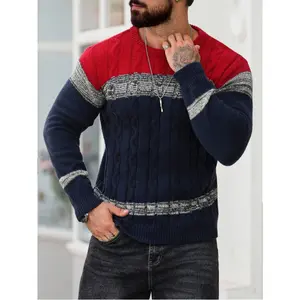 Men's Contrast Color Cable Pattern Crew Neck Long Sleeve Casual Sweater, Autumn/Winter Fabric Knitwear
