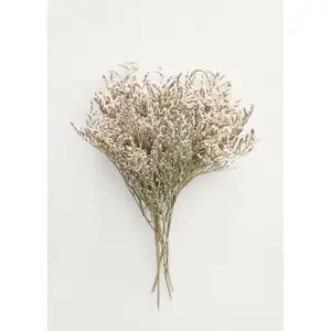 Dried Flower German Statice Bundles - 10-13"