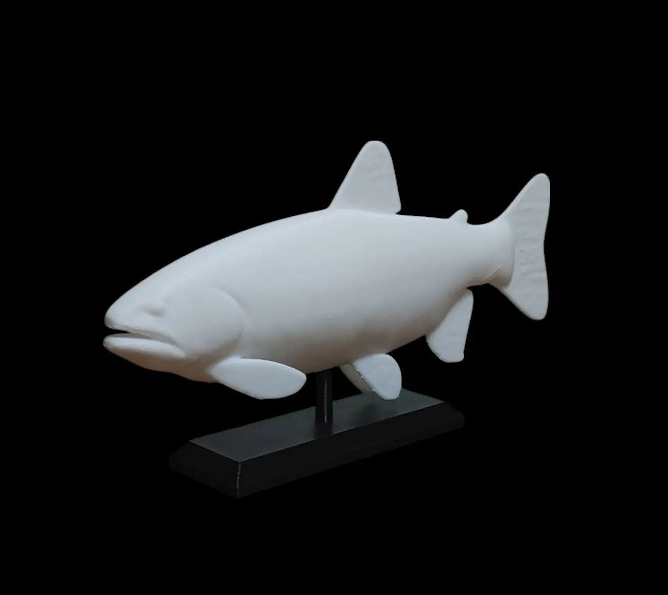 Rainbow Trout Fish Mount 6.5" - 13" - Rainbow Trout Replica - Paint Your Own - Fishing Decor