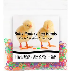 100  Poultry  Bands 5/16" Large Size 5 Chick (100)