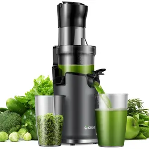 GDOR Cold Press Juicer with 5.3" Wide Feed Chute 150NM Powerful Motor Slow Masticating Extractor High Juice Yield Easy to Clean Fits Whole Fruits & VegetablesSummerVibes
