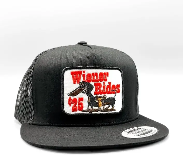 Funny Dachshund Trucker Hat, Wiener Dog Mesh Snapback Cap, Vintage Dog Lover Baseball Hat, Funny Pet Outdoor Gift for Men Women