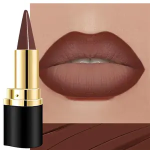 Dark Brown Gradient Matte Lipstick Lip Liner Pencil for Women, 2-in-1 Flawless Contour Gradual Ombre Effect Lipliners Pencil Lip Gloss Makeup Waterproof, labiales mate 24 horas originales, 15