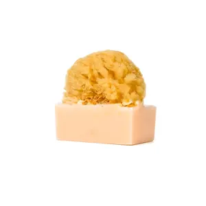 Shea Butter Sea Sponge Soap - Moisturizer