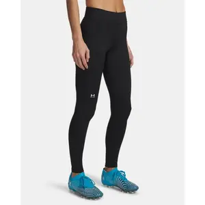 Under Armour ColdGear® Women's Leggings