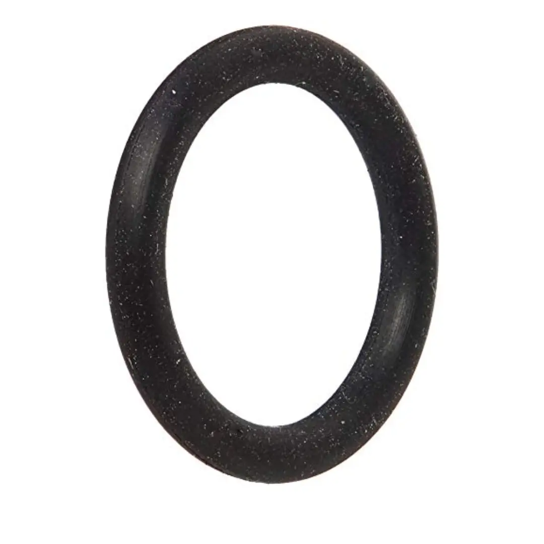 Hayward O- Ring | SX200Z5