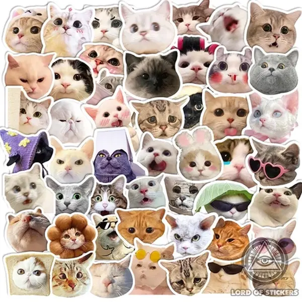 ( Free random 5 sticker) Cute funny meme Cat Sticker ( Free random 5 sticker) Cute funny meme Cat Sticker
