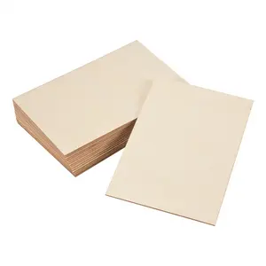 15 Pack Unfinished Wood Sheets,Wood Thin Wood Board for House Aircraft Ship Boat Arts and Crafts,DIY Ornaments
