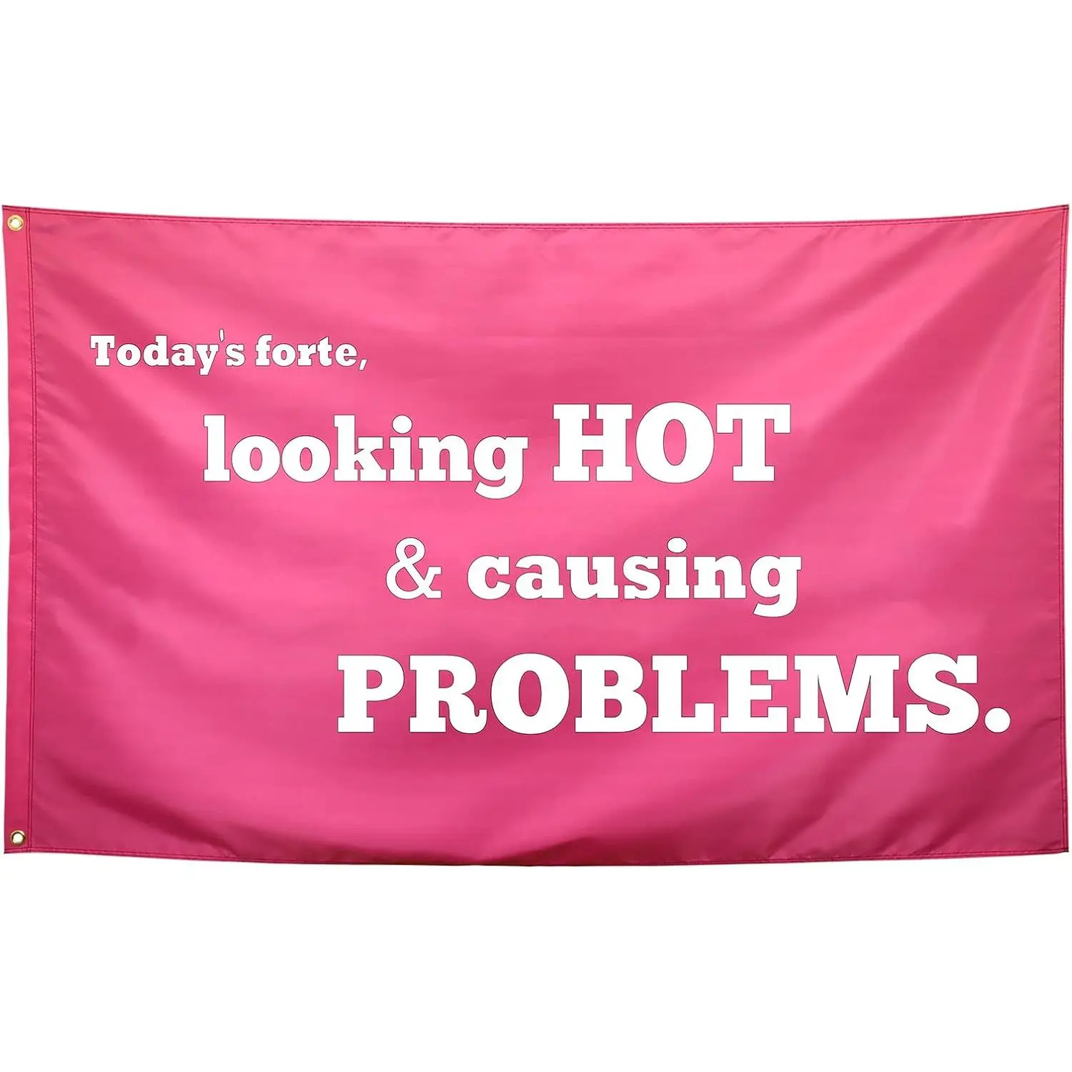 Looking Hot & Causing Problems Flag Pink Funny College Dorm Flags for Girls Cool Girl Flags for Bedroom Room Wall Meme Flags Banner 40x60 IN Indoor Outdoor Garden Home Decoration Decoration Party Decoration Decoration pink bedroom accessories,evangelion