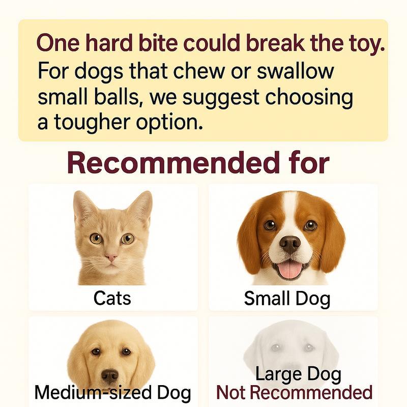 Cat & Dog Interactive USB Rechargeable Ball Toy on Rug, Bird Chirping Sound, Anti-Depression Fun Gift for Pets-USB Rechargeable Interactive Ball Toy for Cats & Dogs on Rug, Bird Chirping Sound, Anti-Depression Fun Pet Gift