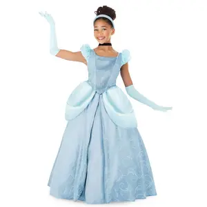 Girl's Disney Premium Cinderella Costume Dress (© Disney)