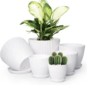 6 Pack White Plastic Indoor Plant Pots with Saucers & Drainage – Multi-Size Planters for All Types of Plants