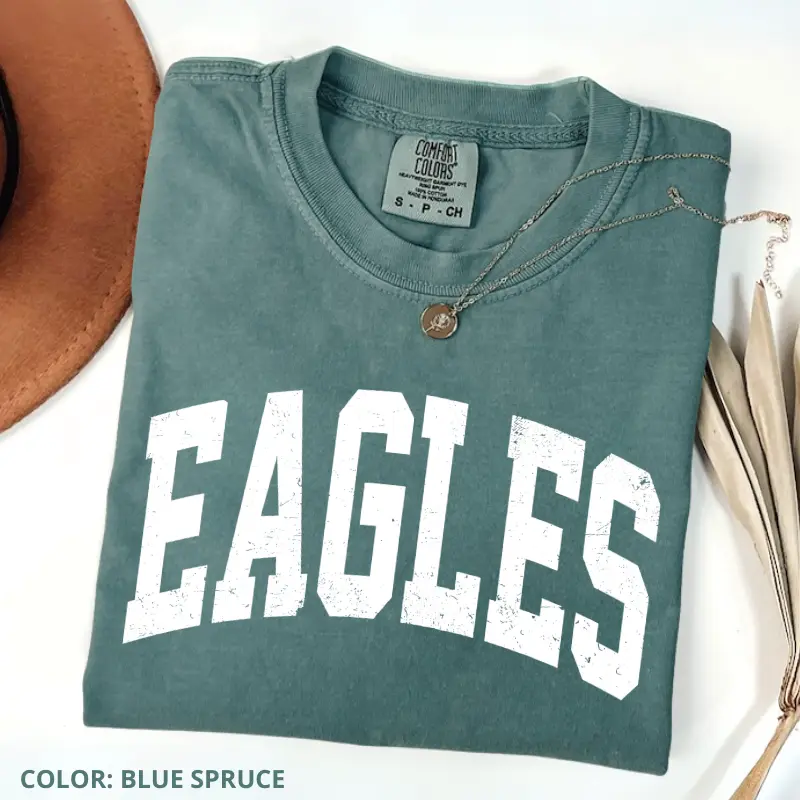 Comfort Colors Vintage Eagles T Shirt, Game Day Shirt, College Spirit Tee, Teacher Gameday Gift, Tailgate Football Tee, Womenswear