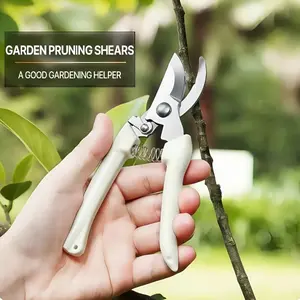 Professional Stainless Steel Garden Pruning Shears with an Ergonomic White Handle Designed to Save Effort, Perfect for Branches, Flowers, And Grafting Trees, As Well As Tasks in Orchards And Gardening