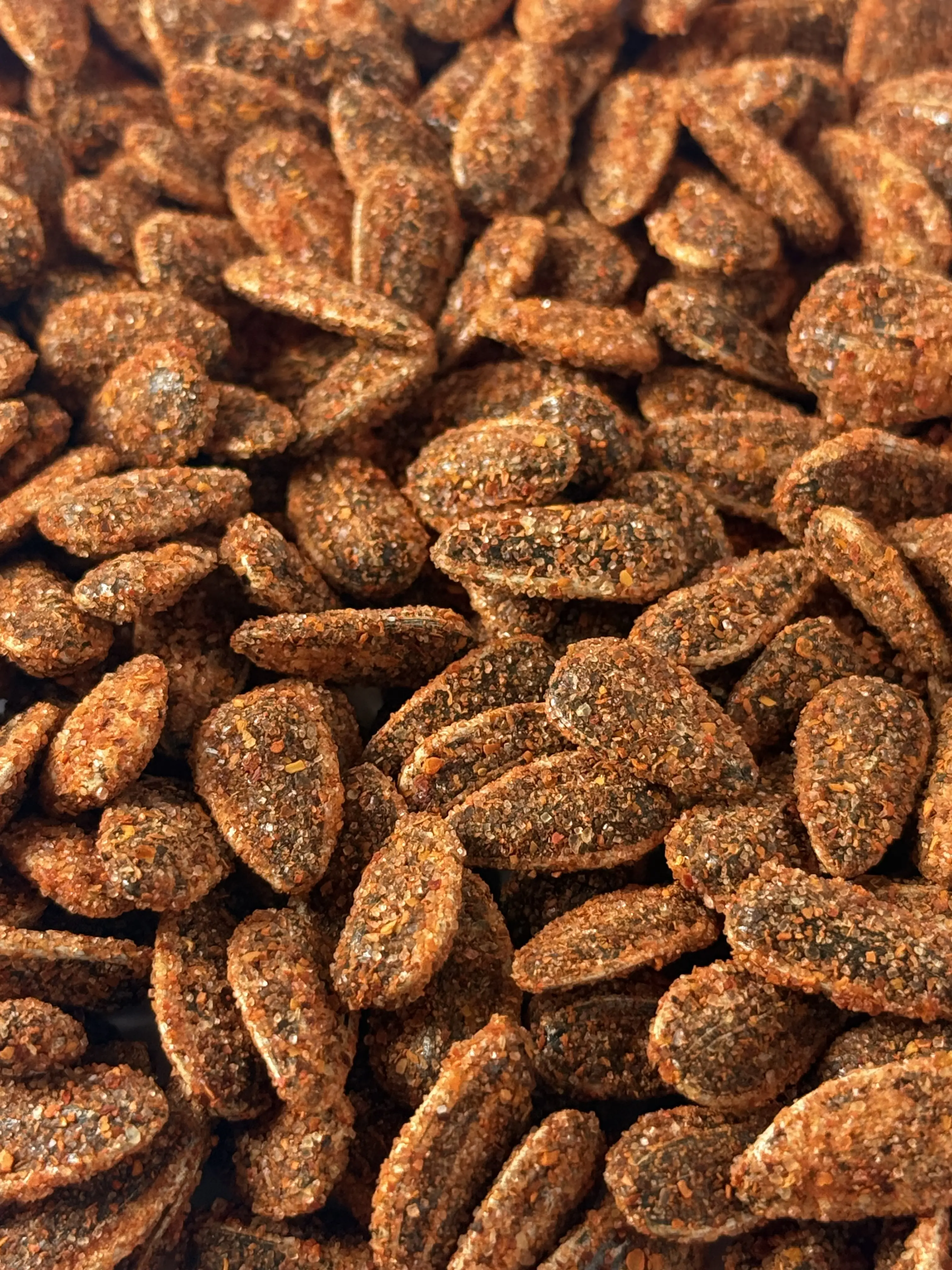 Sunflower Seeds Enchilado Style In Shell - Salty and Tangy Sunflower Seeds