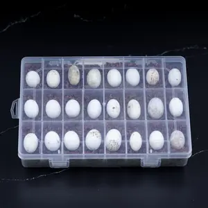 Crested Gecko Egg Incubation Tray