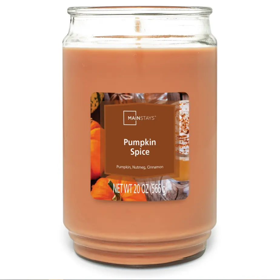 Pumpkin Spice Scented Jar Candle, 20 oz Single-Wick Candle for Fall Home Decor