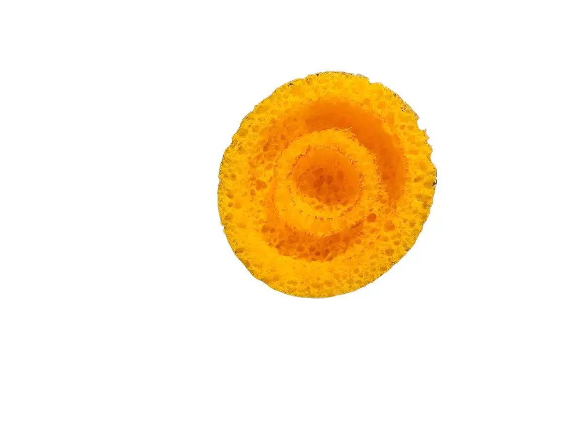Cheddar Swirl Fun Cheese Sponge