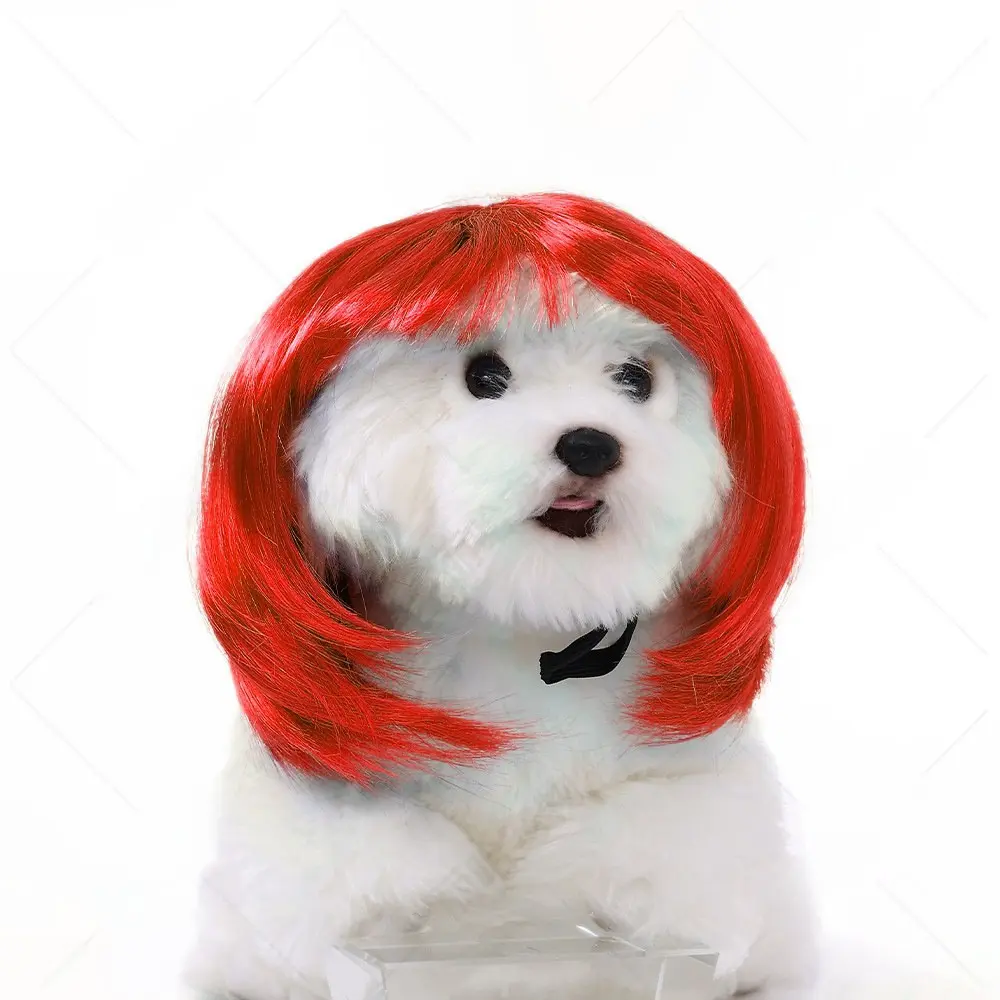 Funny Dog Wig Fashionable Pet Hair Accessory Adjustable Soft Material For Small Dogs Perfect For Parties Halloween Costumes And Cute Pet Photos Funny Dog Wig Fashionable Pet Hair Accessory Adjustable Soft Material For Small Dogs Perfect For Parties Halloween Costumes And Cute Pet Photos