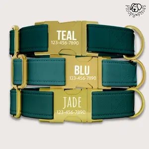 Teal Dog Collar Personalized Gift For Dog Owner Custom Wedding Dog Collar Leash Set Engraved with Name Luxury Jade Custom Dog Collar FF-59