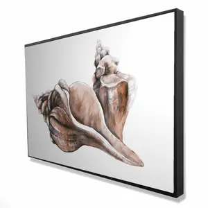 212 MAIN Coral Horse Conch Seashells Framed Artistic Photo Print, 24x36 in, Neutral-Tone Marine Coast Decoration, Bathroom Wall Art, Ideal Gift for Home Supplies Enthusiasts
