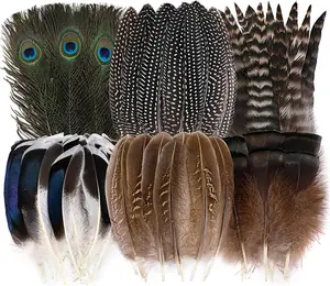 24pcs Natural Feathers Bulk - 6 Styles Assorted Peacock, Pheasant, Turkey Feathers for Craft DIY Jewelry Hat Wedding Home Party Decoration