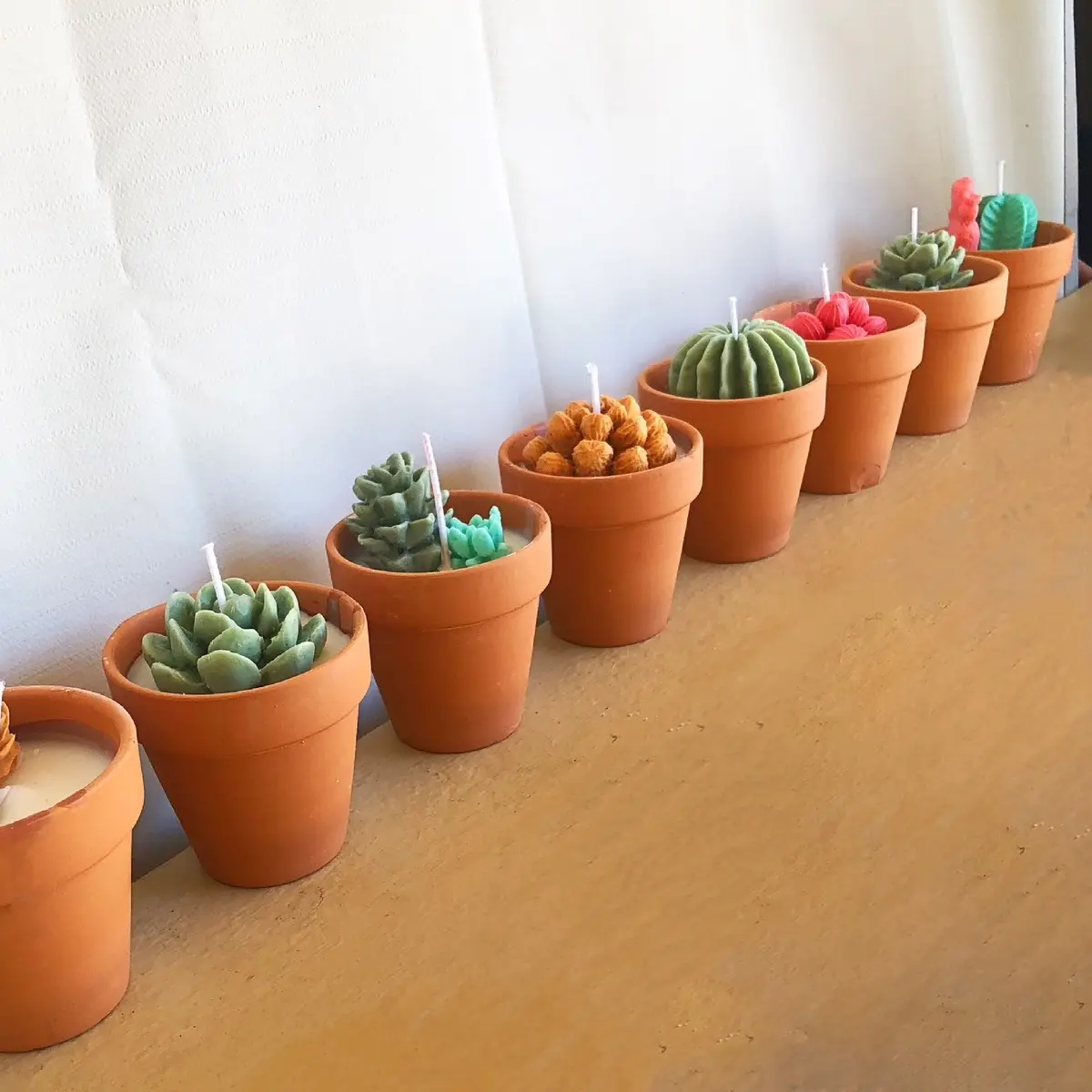 Succulent Candles Succulent Candles