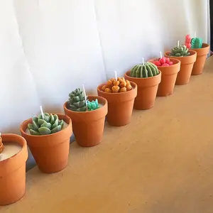 Succulent Candles