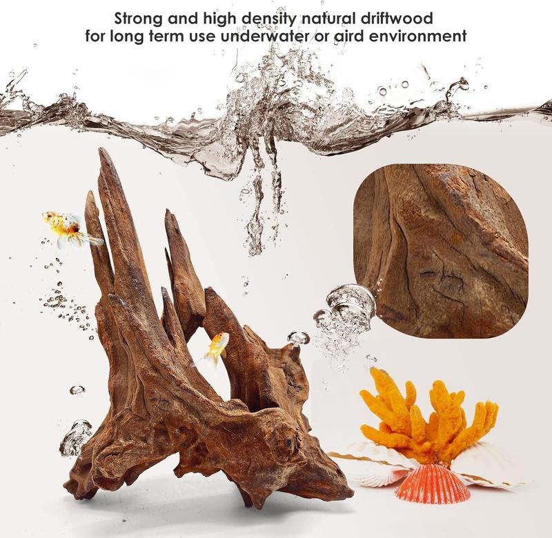 Driftwood for Aquarium Decor,Driftwood for Decorations on Fish Tank, Reptiles Bearded Dragon Accessories or Air Plants