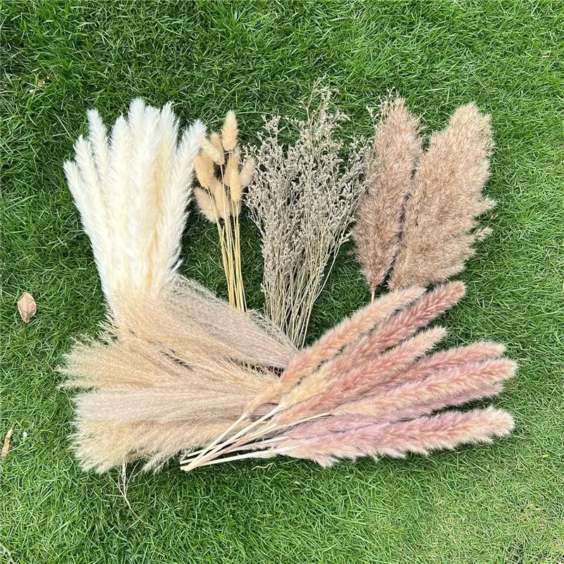 100Pcs Pampas Grass Boho Home Decor 17 inch Natural Dried Flowers-Pampas for Farmhouse Wedding